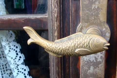 rosavilches: Omega 3